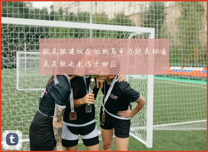 欧足联建议在伯纳乌举办欧美杯南美足联尚未作出回应